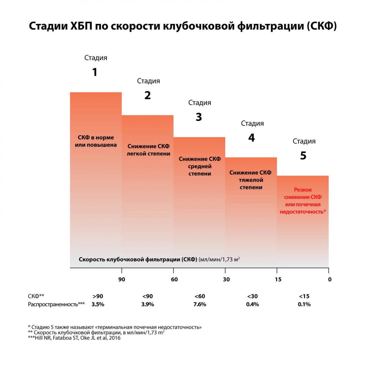 Что такое хроническая болезнь почек? | Хроническая болезнь почек